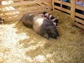 2010 05 24 jeanmarcperfetti.com 076.JPG